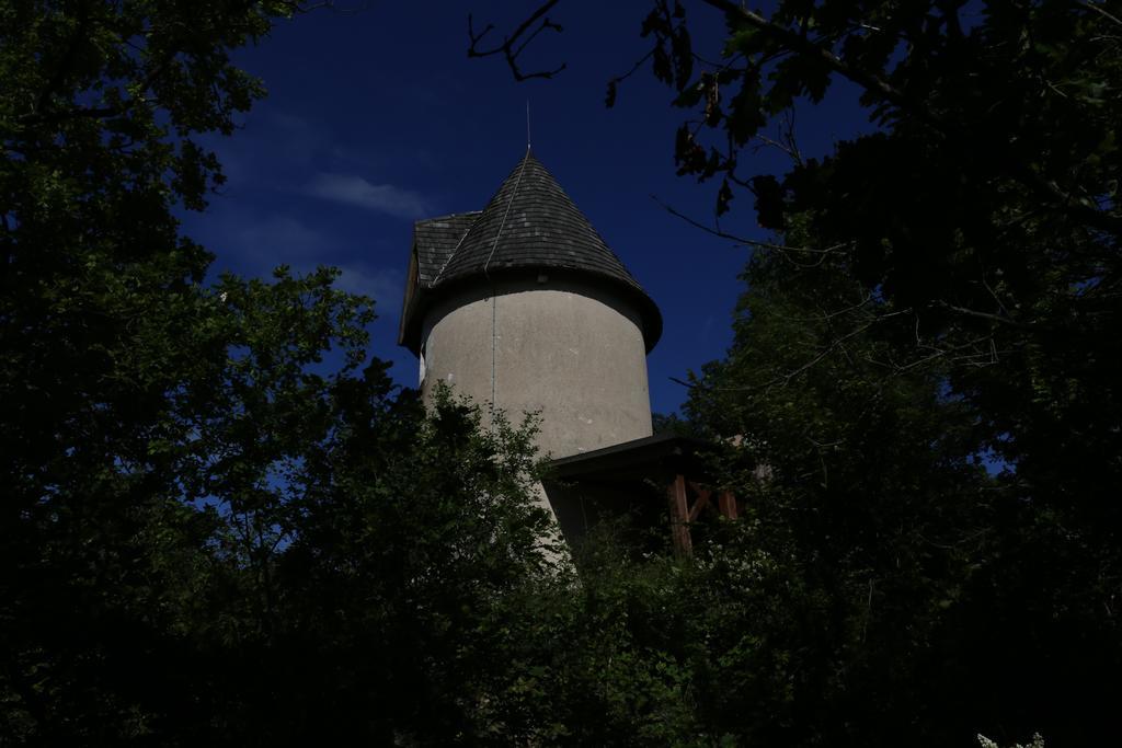 Moulin De Rouze Villa Castelnaud-de-Gratecambe Szoba fotó